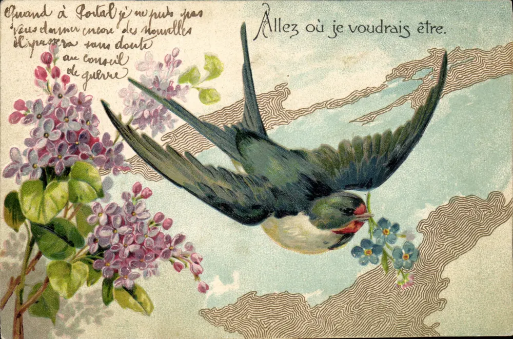 Ave e lírios — carta postal ilustrada — série 6450, editada pela Union postale universale - Frente