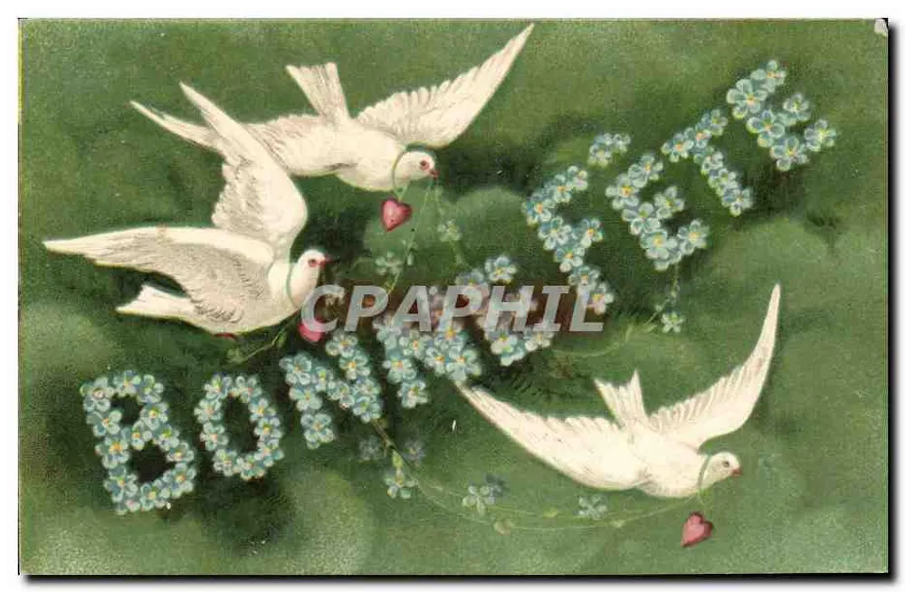 Colombe e fiori — BONHEUR — editore non visibile - Recto