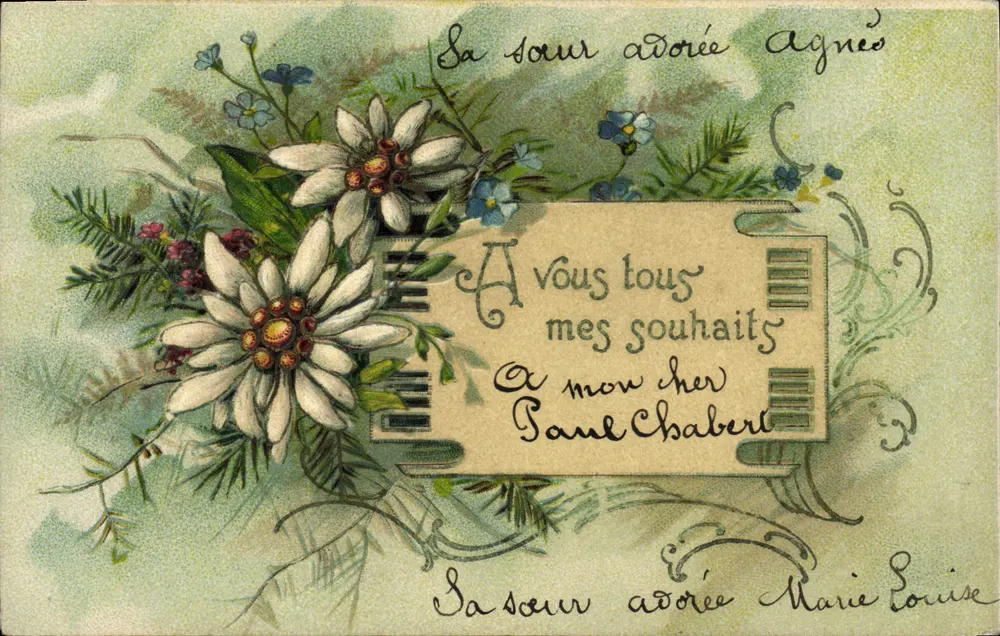 Flores de Edelweiss — Carta postal multilingue — Editor Levelezö-Lap - Frente