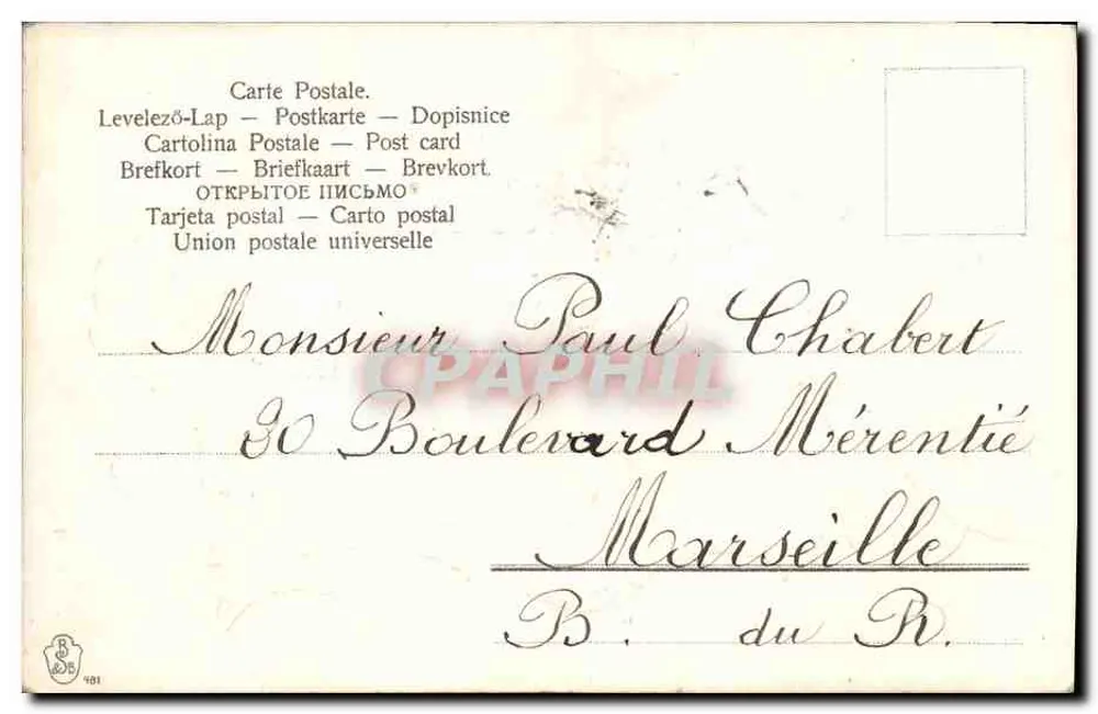Flores de Edelweiss — Carta postal multilingue — Editor Levelezö-Lap - Verso