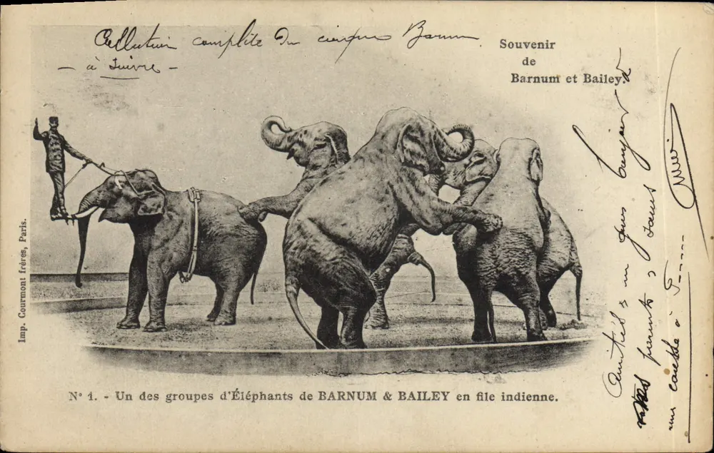Grupos de elefantes de Barnum & Bailey en fila india — Imp. Courmont frères, París, N° 1 - Anverso