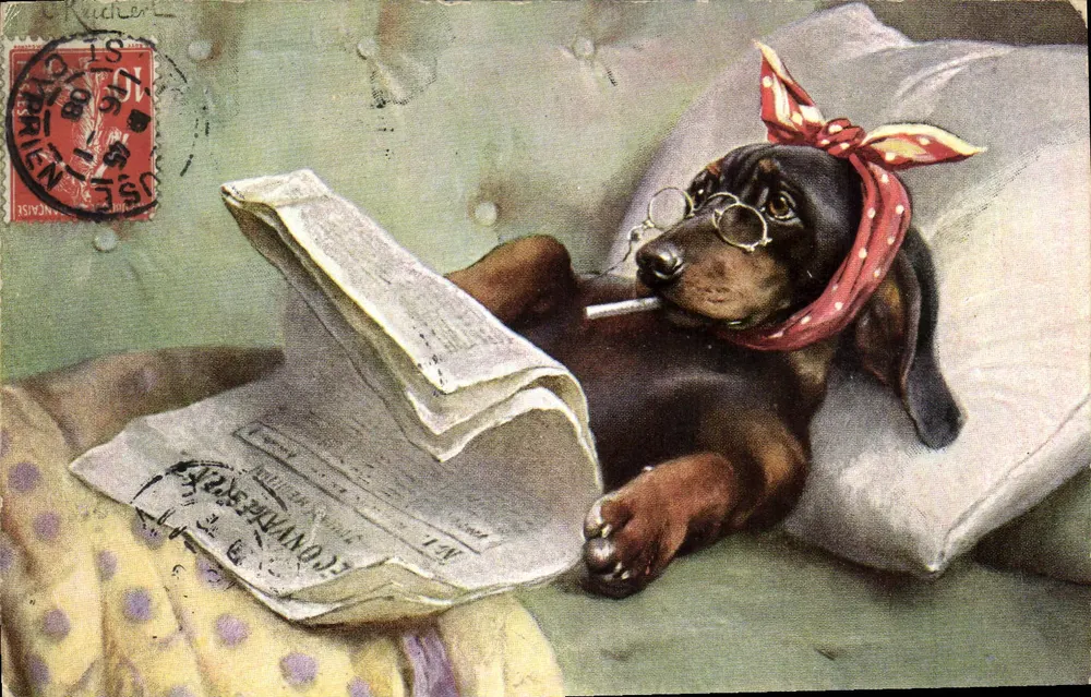 Cachorro de caça lendo um jornal — editor T.S.N. Série 649 - Frente