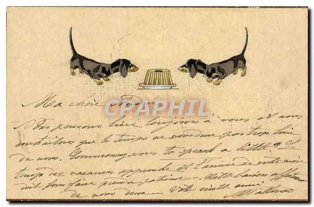 Twee basset honden — illustratie — onbekende uitgever - Voorkant