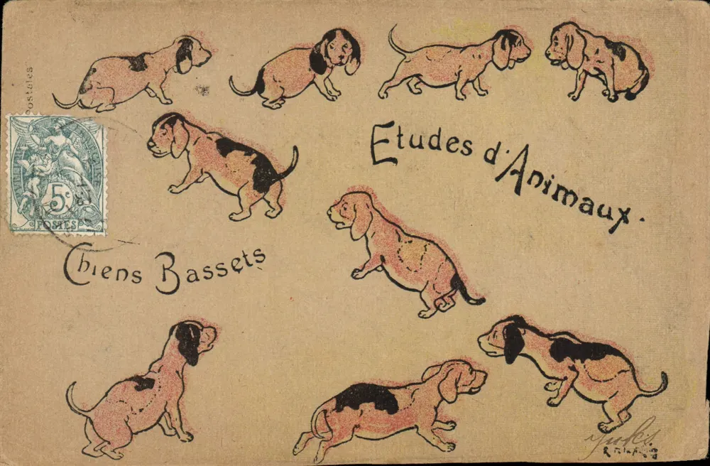 Kleine honden — Dierstudies — R. Tilaing - Voorkant