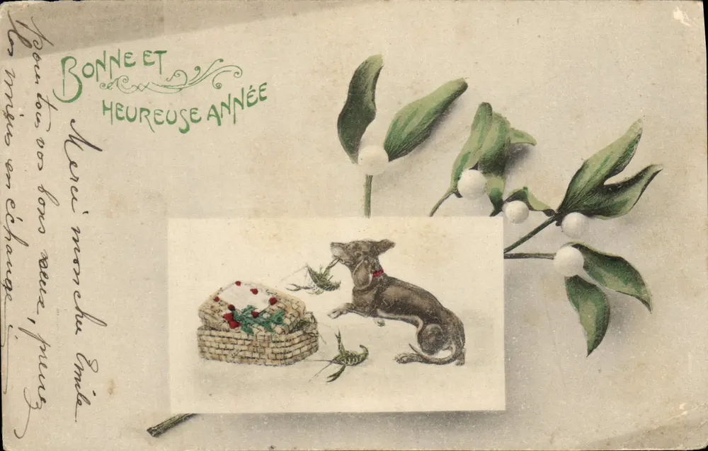 Chien jouant avec des insectes — illustration sur fond de gui — éditeur non identifié, série 550 - Voorkant