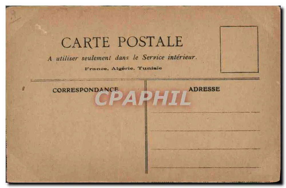 Cães Basset — Estudos de Animais — 'Minhas Cartas Postais' editora - Verso