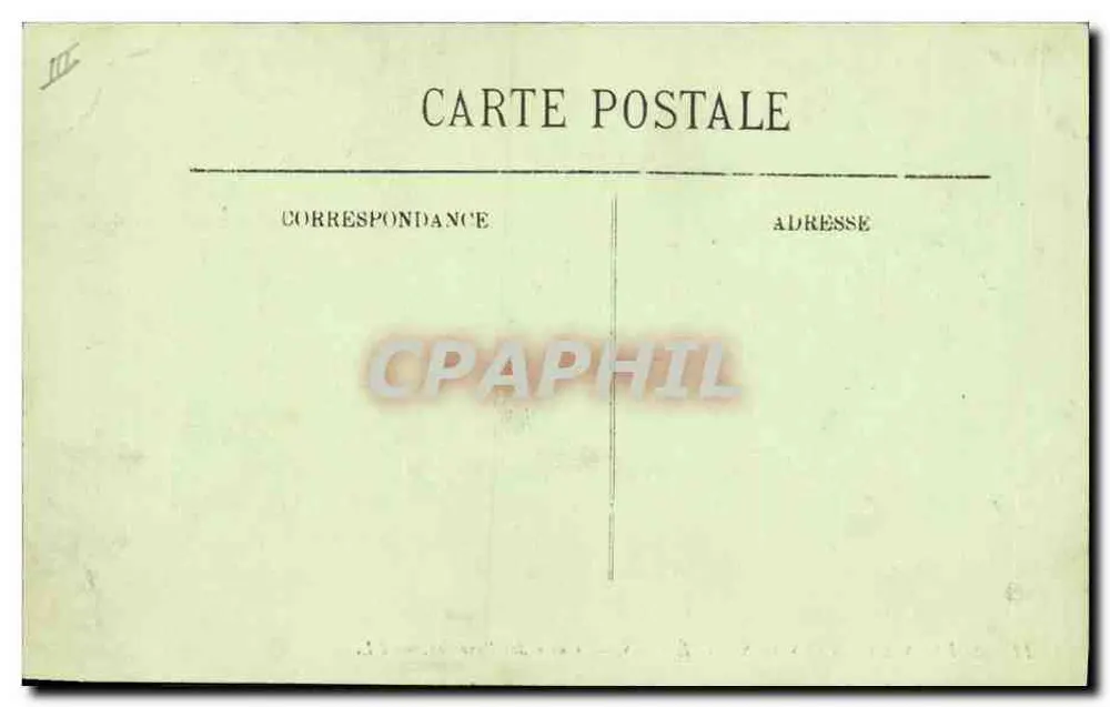 Cão dos Pirineus — LL. - Verso