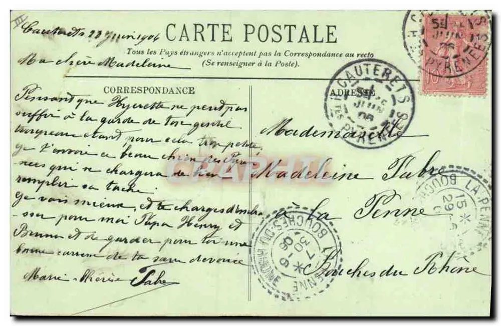 Cão das Pirineus — LL. — n°121 - Verso