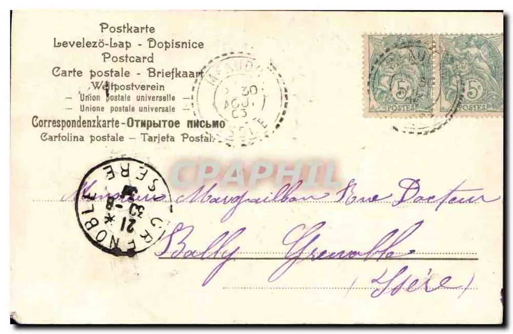 Biołki w koszyku — kartka pocztowa — wydawca nieznany - Rewers