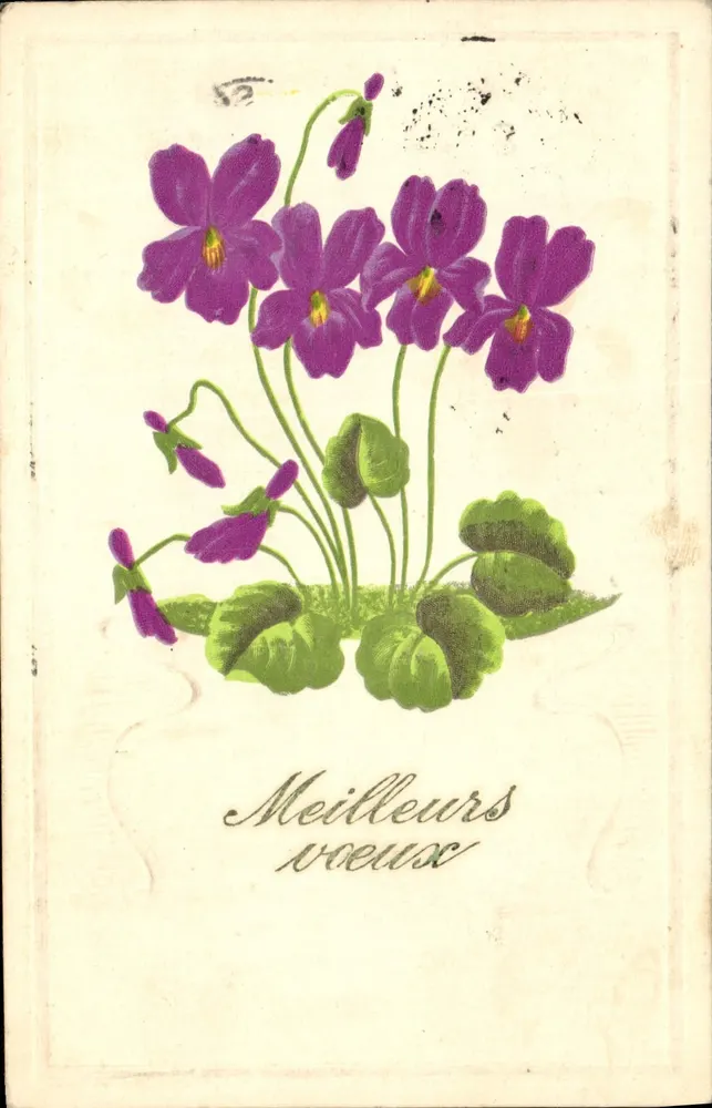 Violes — Melhores desejos — Carte postale - Frente