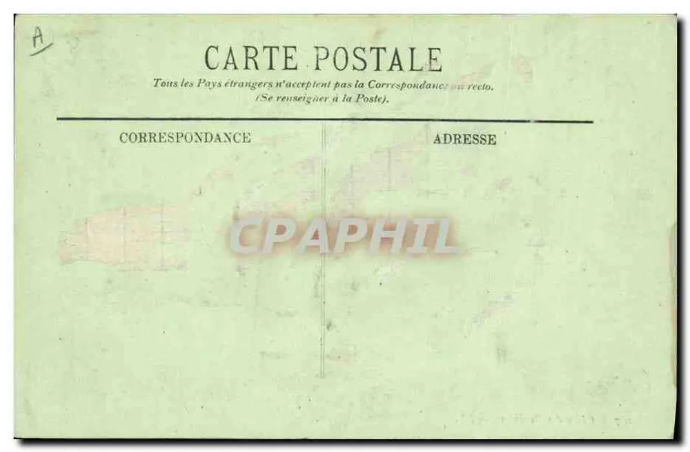 Cão dos Pirineus — LL. — n° 207 - Verso
