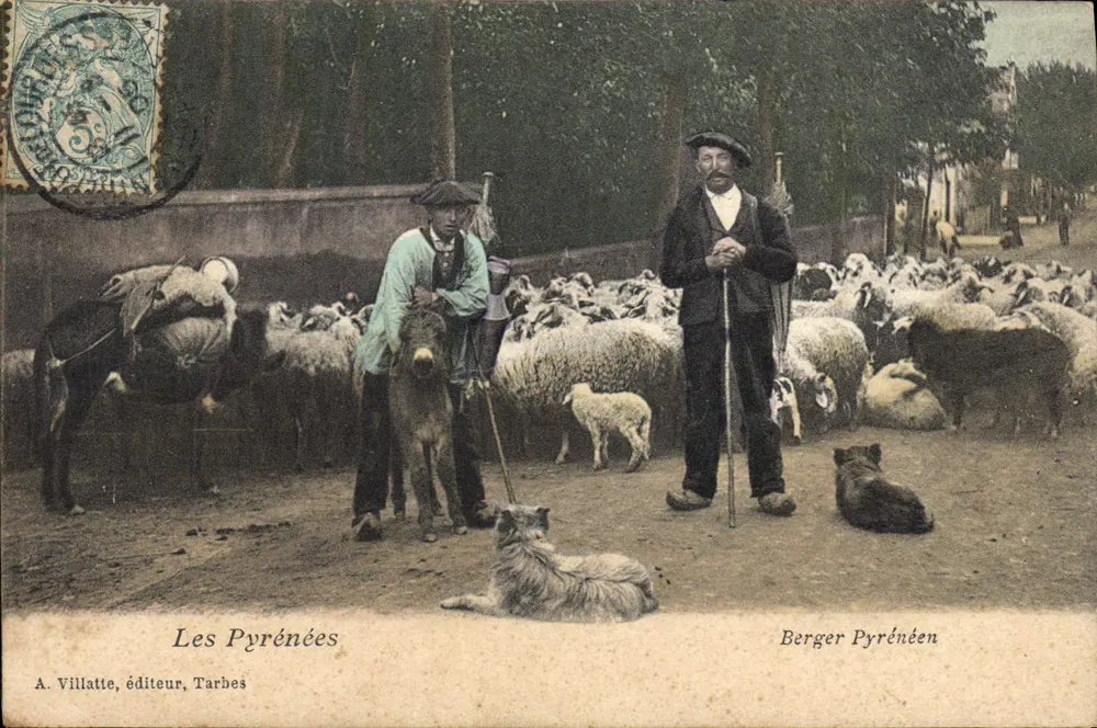 Les Pyrénées — Berger Pyrénéen — A. Villatte, éditeur, Tarbes - Recto