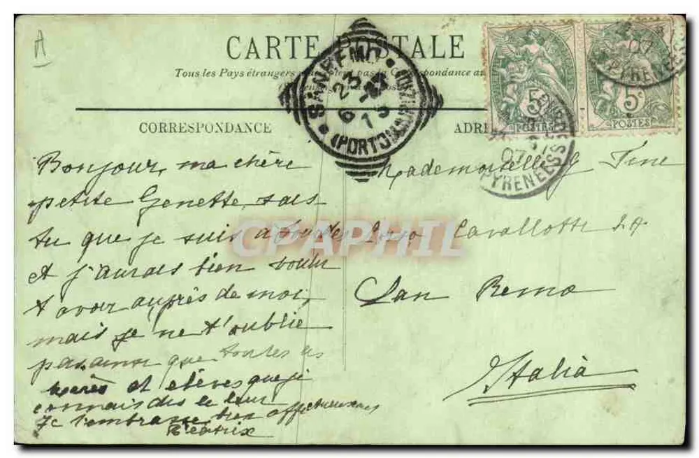 Chiens des Pyrénées — chien adulte avec chiots — éditeur : 'Quelques jours sous un havreant pétillant' (n° 208) - Verso