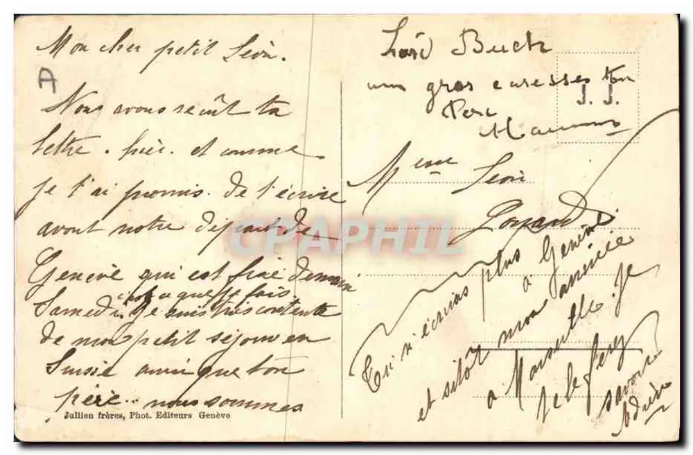 Gruppe von Grossen Saint-Bernard-Welpen — J.J. 8936 — Jaillien frères, Genf - Rückseite
