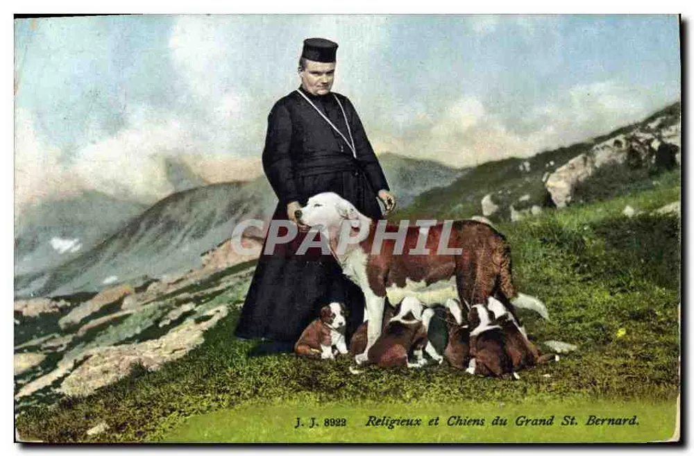 Religiöser Mann und Saint-Bernard-Hunde — J. J. 8922 - Vorderseite