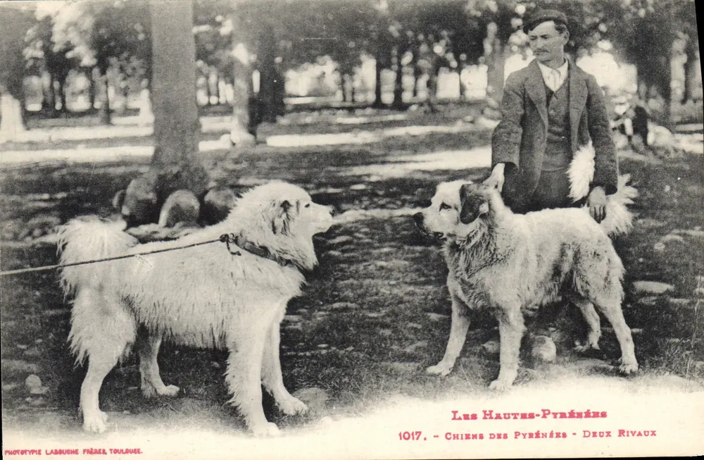 Les Hautes-Pyrénées — Dois Rival — Fototipia Labbuche Frères, Toulouse, n°1017 - Frente