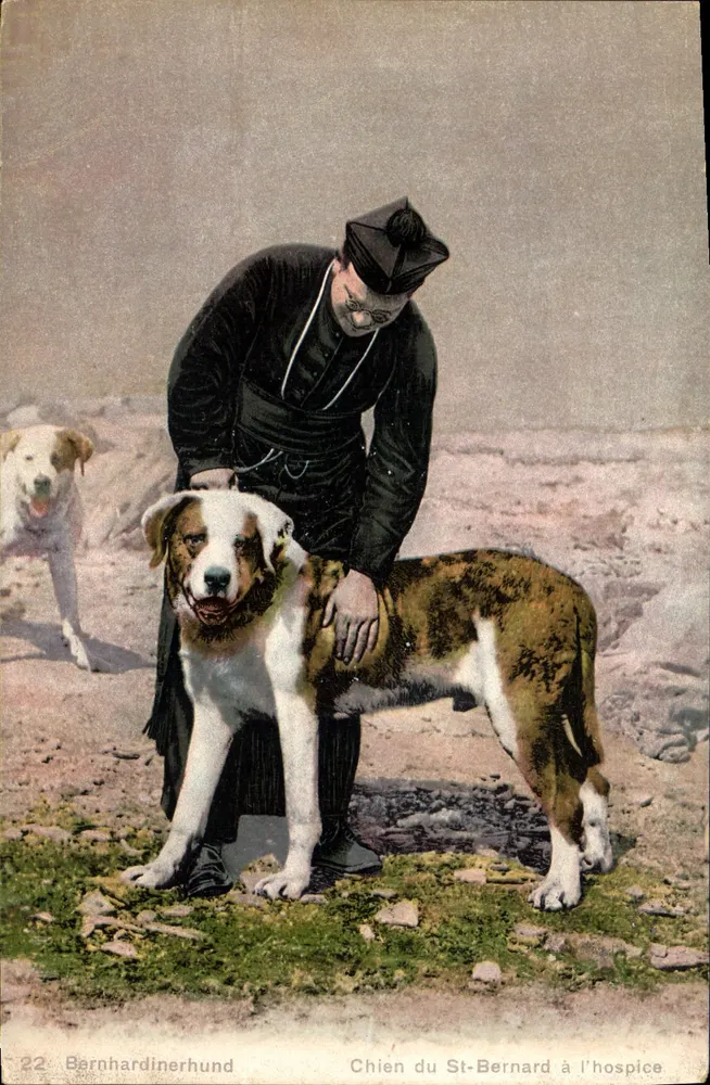 Cão do St-Bernard na hospice — Phototypie Co., Neuchâtel — n°22 - Frente