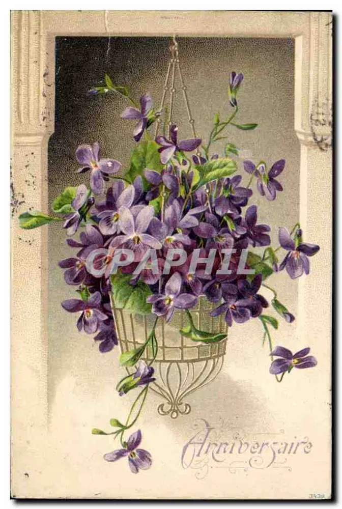 Violetas em cesta suspensa — Aniversário — K.F. editores, Paris - Frente