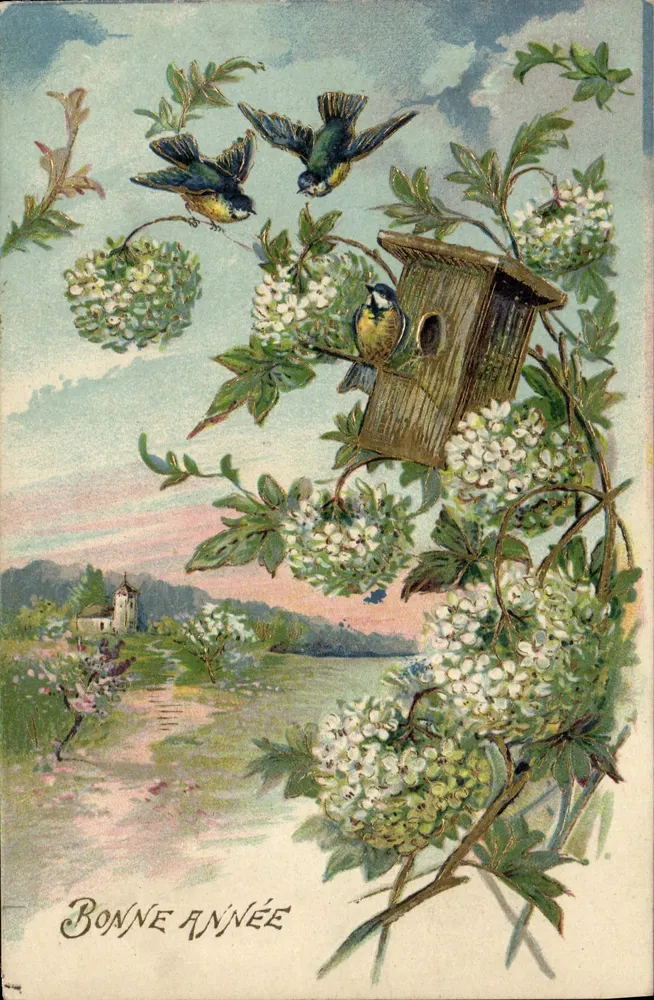 Aves e ninho — paisagem com igreja — editor não visível - Frente