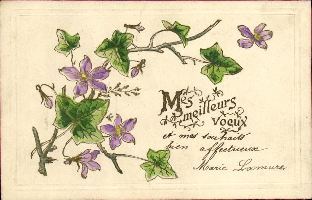 Violetas e folhas de erva-de-são-joão — Carta postal multilingue — União Postal Universal - Frente