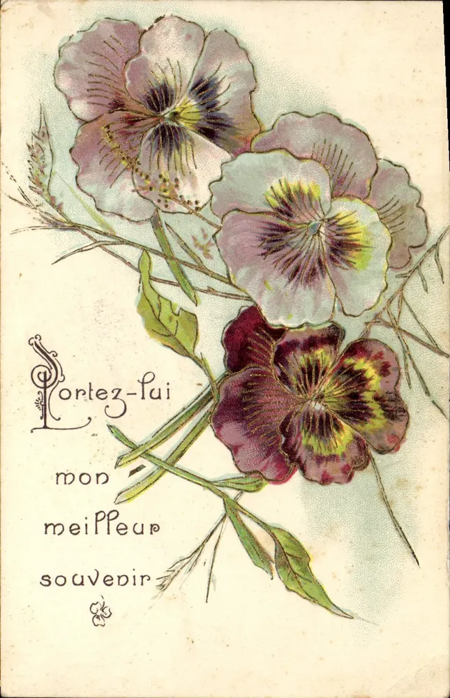 Pansées colorées — bouquet de fleurs avec texte imprimé 'Portez-lui mon meilleur souvenir' — éditeur non visible - Frente