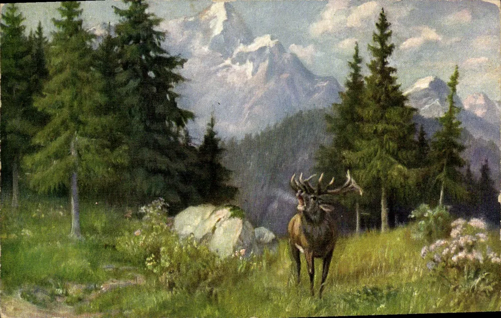 Cervo nas Alpes — paisagem montanhosa — O.G. Z.-t. n° 258/1458 - Frente