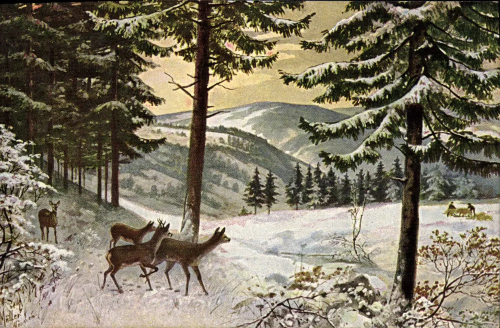 Descobertas da floresta nevada — Maller — Wald und Feld, Dessau, n°4 - Frente