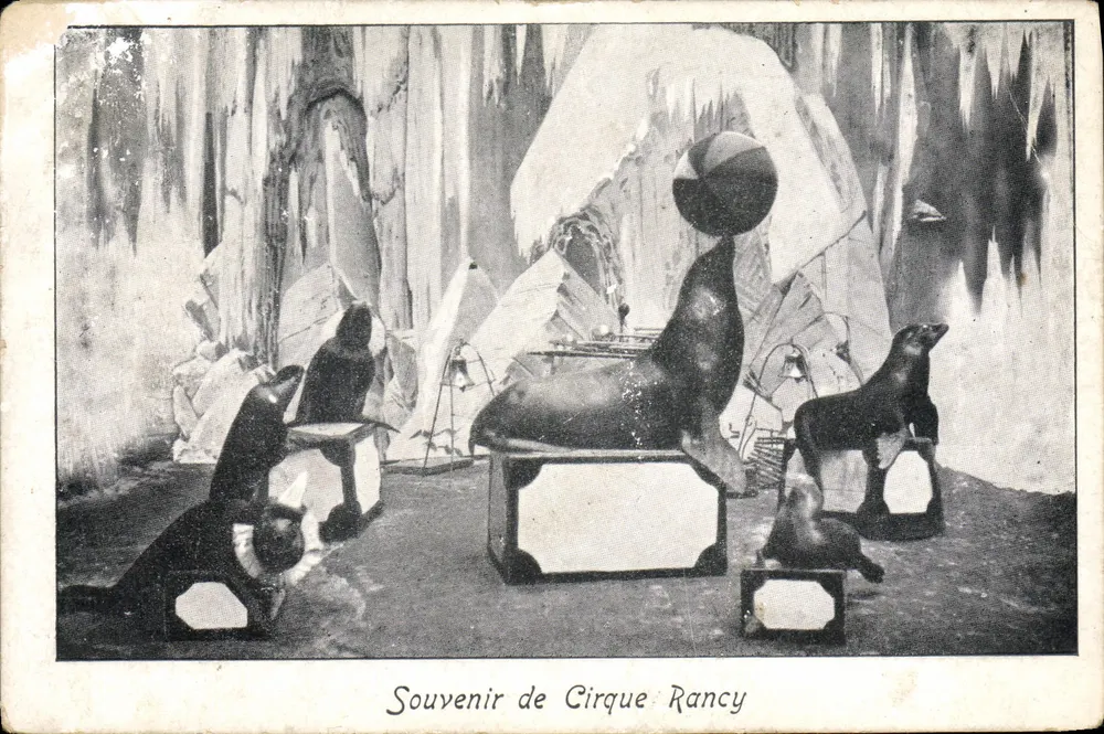 Séals en scène — spectacle de cirque dans un décor de glace — Souvenir de Cirque Rancy - Awers