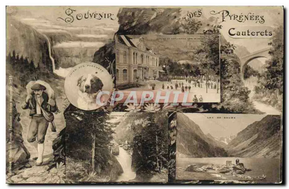Souvenir dos Pirineus — Cauterets, Lago de Gaube, Cachoeira, Cão dos Pirineus — Editor: C. P. G. (nº 140) - Frente