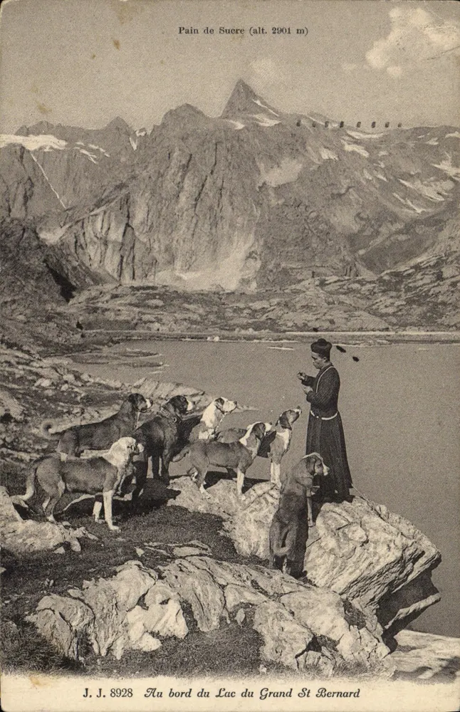 Zuckerhut (Höhe 2901 m) — Am Rand des Sees Grand St Bernard — J.J. 8928 - Vorderseite