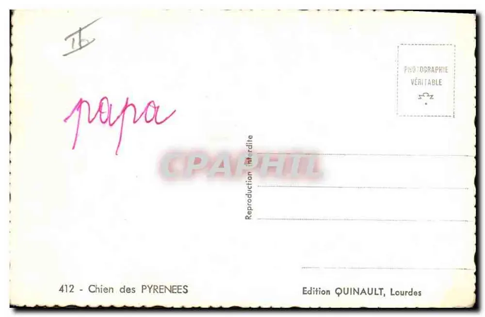 Cão dos Pirineus — Edição Quinault, Lourdes — n°412 - Verso
