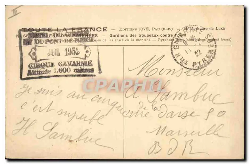 Zwei Bergschäferhunde — Éditions Jové, Pau — N° 66 - Rückseite