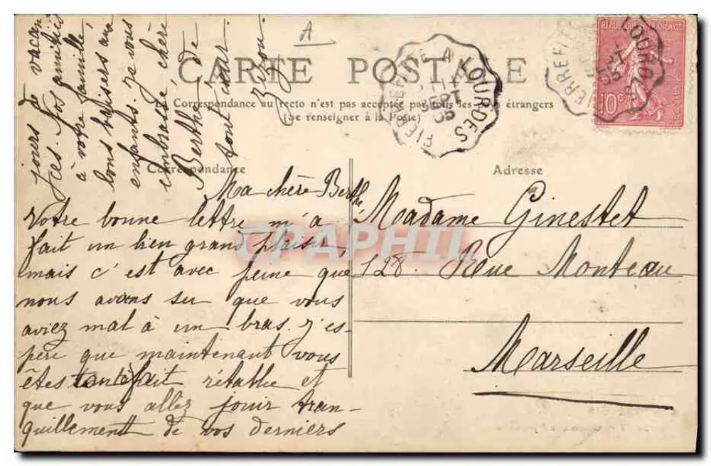 Cão das Pirineus — 2027 — Editor MTIL - Verso