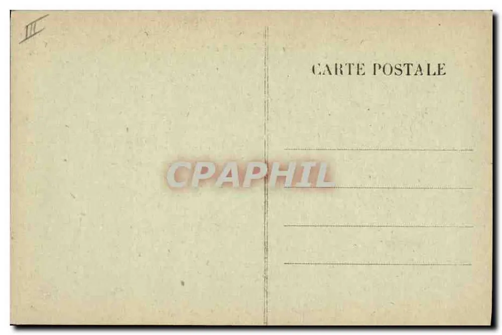 Cães de Montanha — Tipos das Pirineus 6485 — Editor não visível - Verso