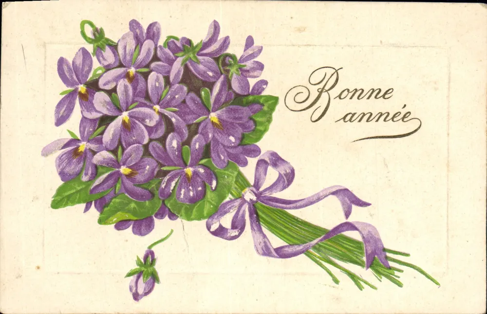 Mata de violetas — Boa Ano — Carta postal francesa - Frente