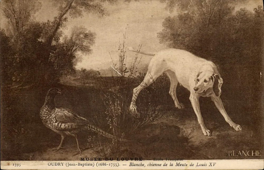 Hund aus dem Rudel von Ludwig XV — Oudry (Jean-Baptiste) — Musée du Louvre — Französisch Schule - Vorderseite
