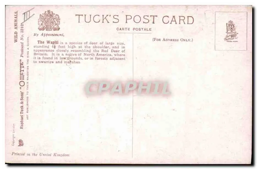 Cervo nas montanhas — ilustração de George Roch — editor Tuck & Sons, n° 3216 - Verso