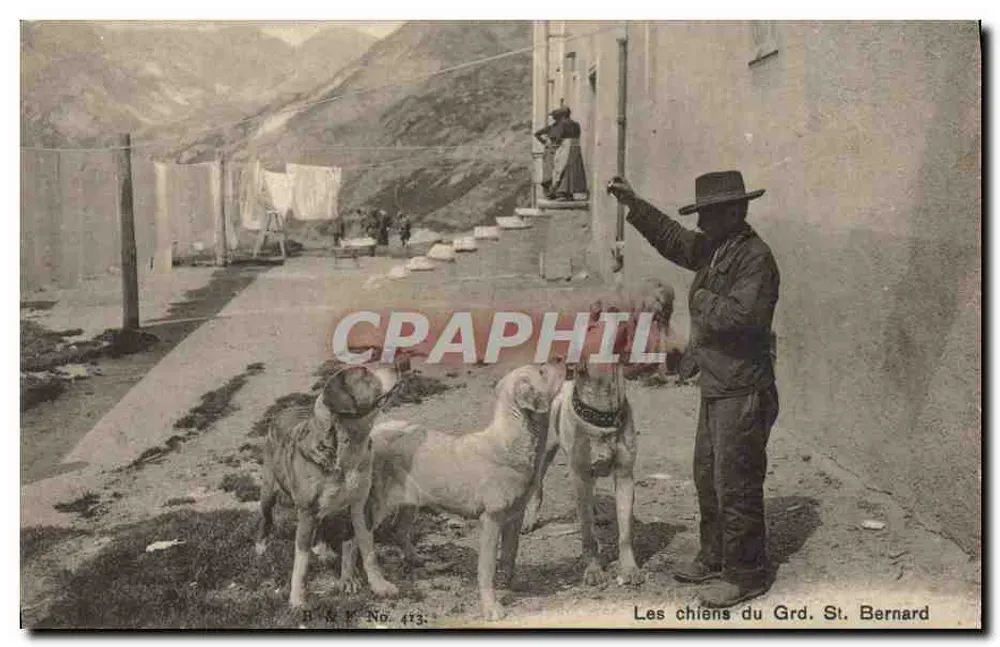 Os cães do Grd. St. Bernard — editor R & P, n° 473 - Frente