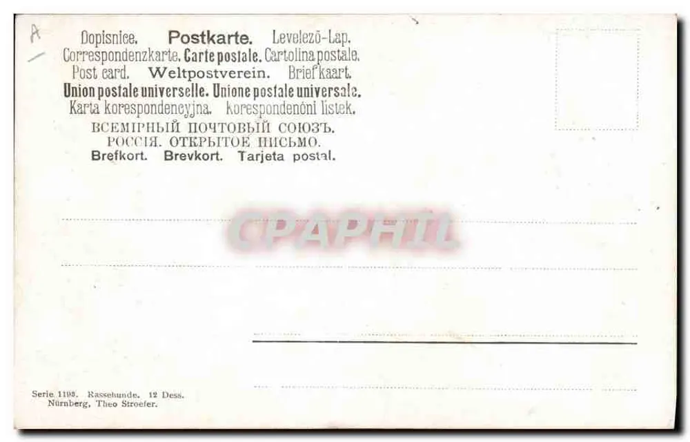 रेस डॉग - पोर्ट्रेट - मुलर जुन. म्यूनिख 1903 - पीछे