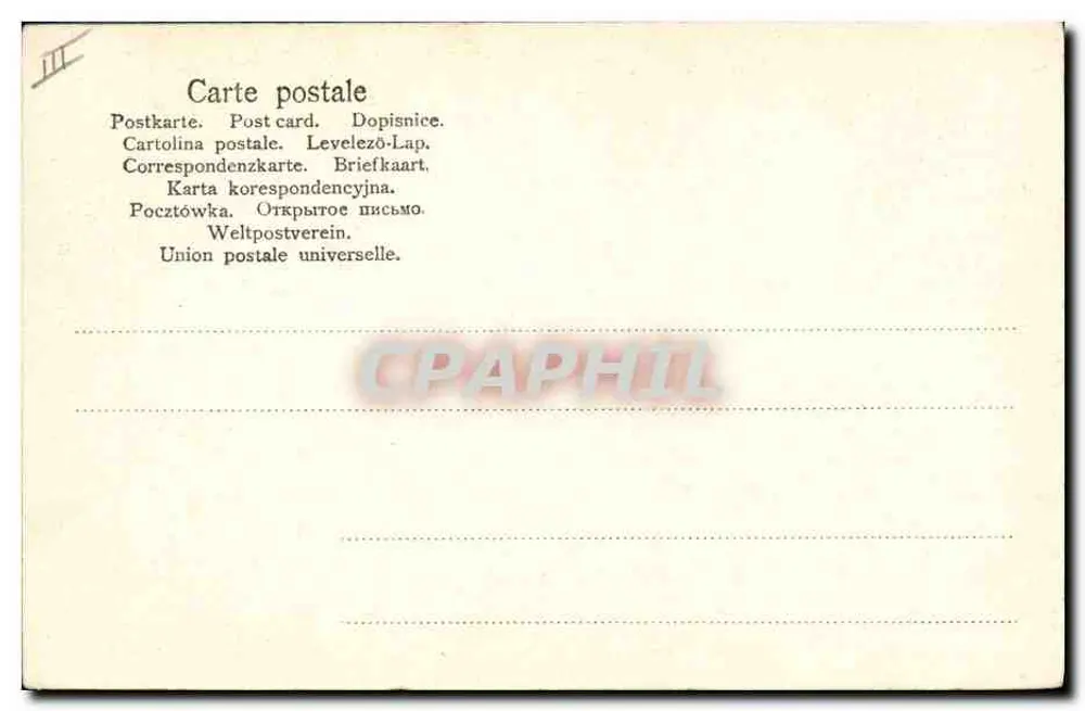 Cinco filhotes de collie — No. 830 — editor não visível - Verso
