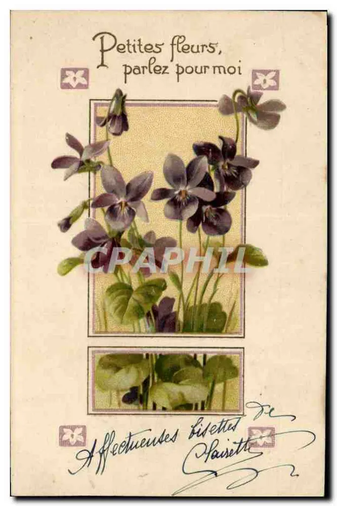 Pequenas flores, falem por mim — editor S. 399 - Frente