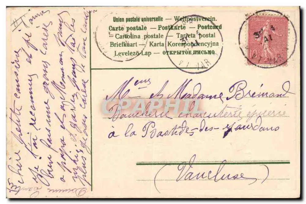 Flores em um vaso verde — Não me esqueça! Dominique — Carta postal - Verso