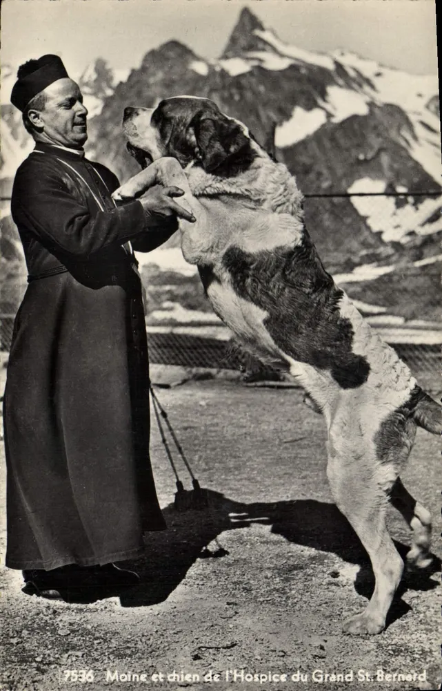 Mönch und Saint-Bernard-Hund vom Hospiz des Grossen St. Bernard — Éditions Jaeger Genève, n° 7536 - Vorderseite