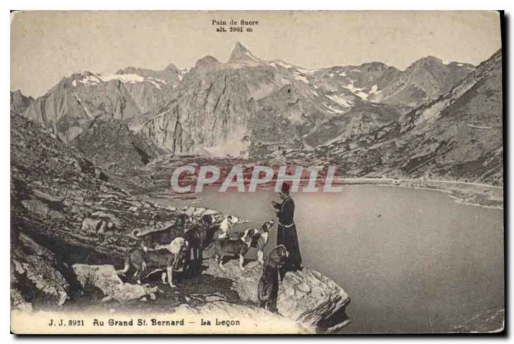 Pain de Sucre alt. 2901 m — vue panoramique du Grand St Bernard avec un berger et ses chiens — J.J. 8921 - Vorderseite