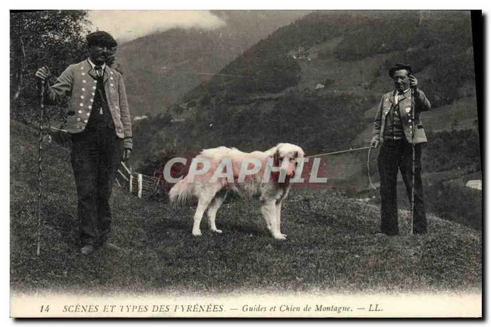 Führer und Bergschäferhund — Szenen und Typen der Pyrenäen — LL. Nr. 14 - Vorderseite