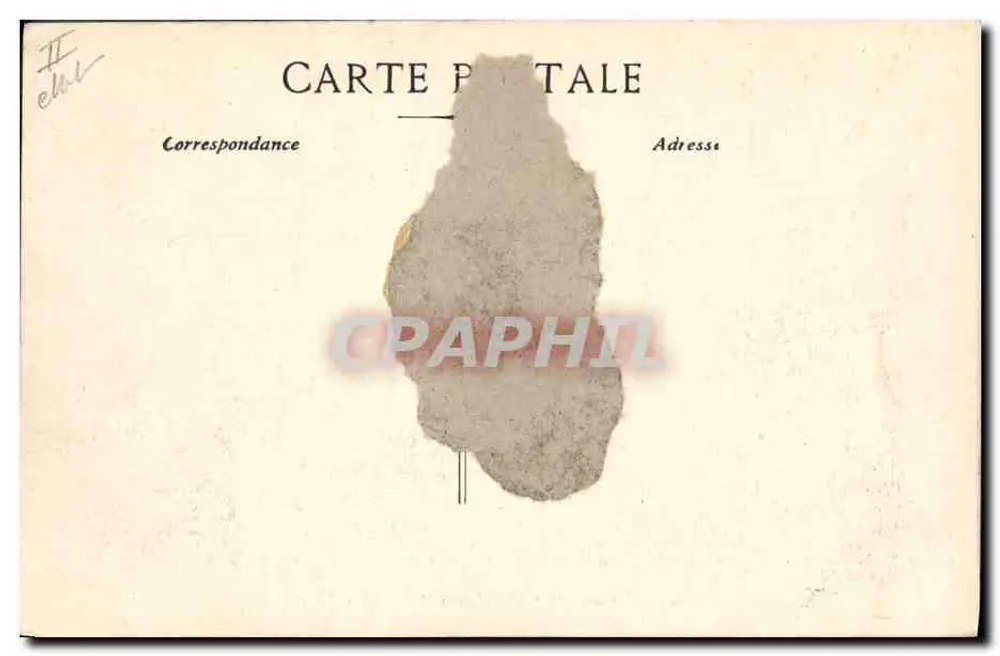 Côte d'Azur — Hafen von Marseille — Messageries Maritimes "LOTUS" - EL. Nr. 990 - Rückseite