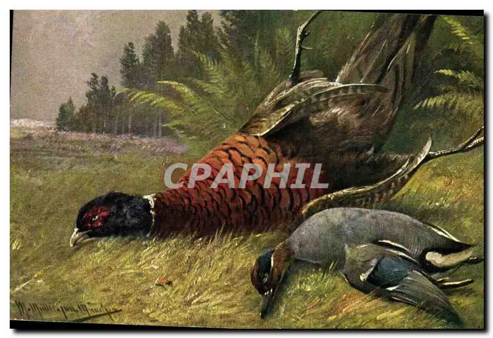 Pintas de Índia e pato — cena de caça — K.F. Fortuné, Paris, série 1303 - Frente