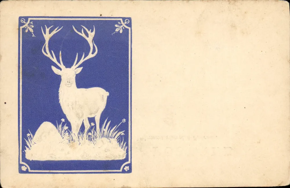 Cervo — ilustração em azul e branco — carta postal anônima - Frente