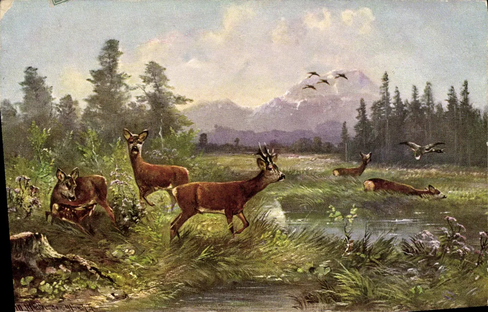 Descobertas de cervos em um paisagem alpina — H. K. & Co. Série 494 (d Dess.) - Frente