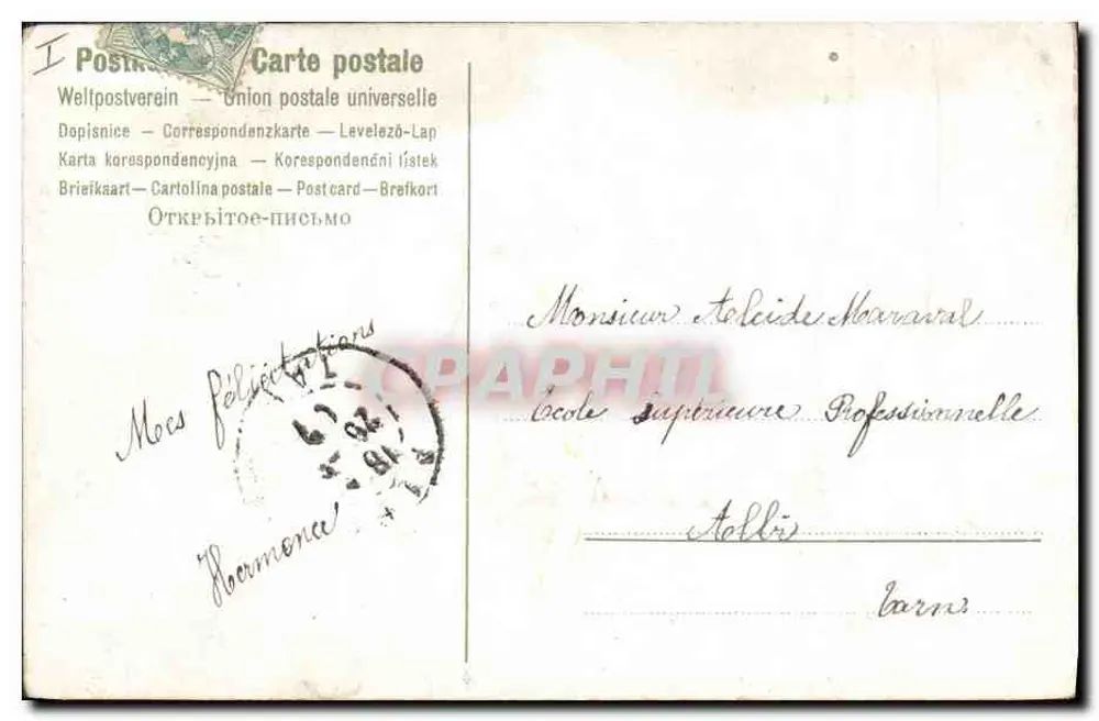Cervo em uma floresta de árvores com casca branca — editor não visível, número de série não visível - Verso